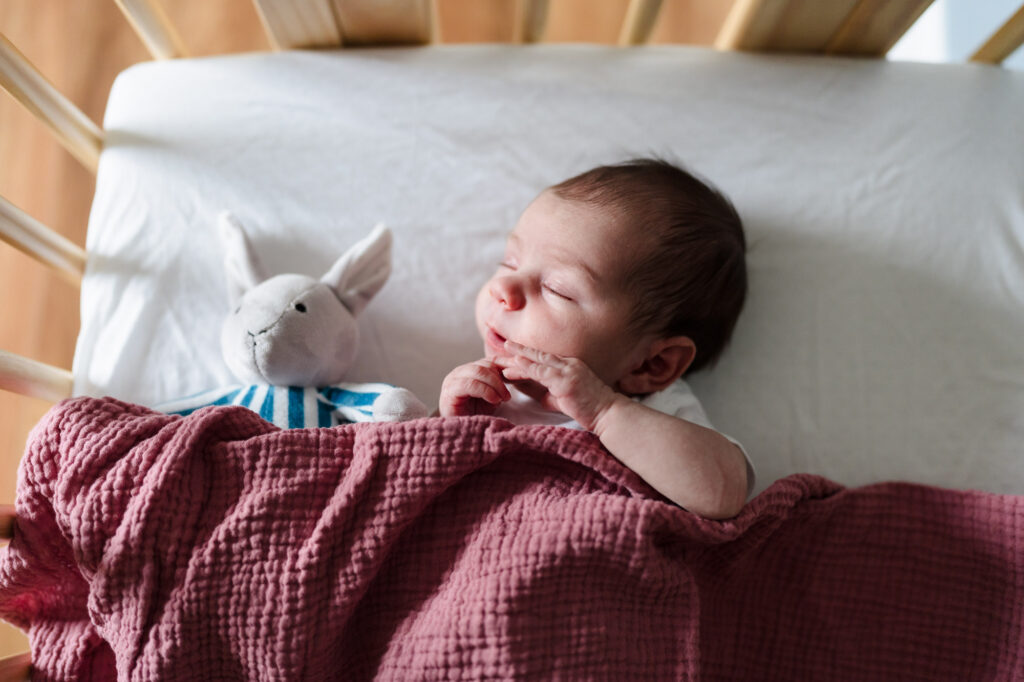 A newborn is sleeping on her crib with a stuffed bunny during a newborn photography session by Ivy Lulu Photography.
