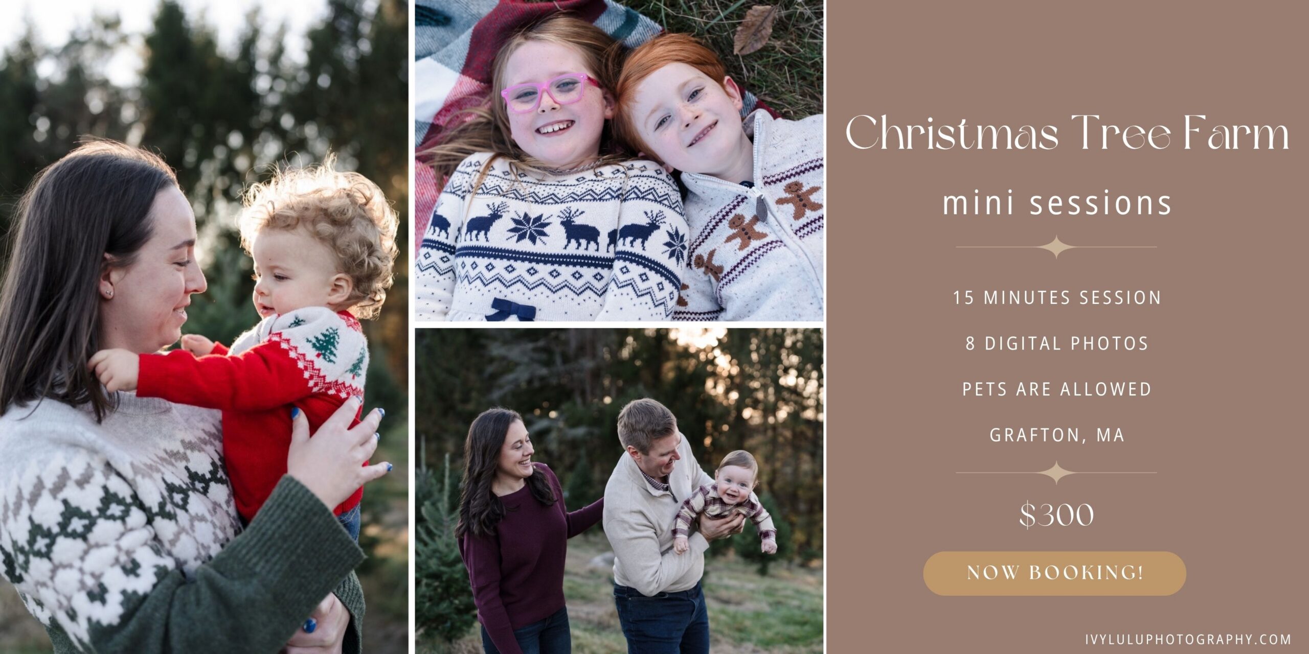 Christmas Tree Farm Session is now booking!